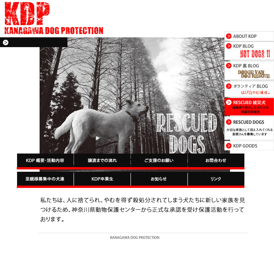 KDP - 神奈川ドッグプロテクションは、人に捨てられ、やむを得ず殺処分されてしまう犬たちに新しい家族を見つけるため、神奈川県動物保護センターから正式な承認を受け保護活動を行っております。