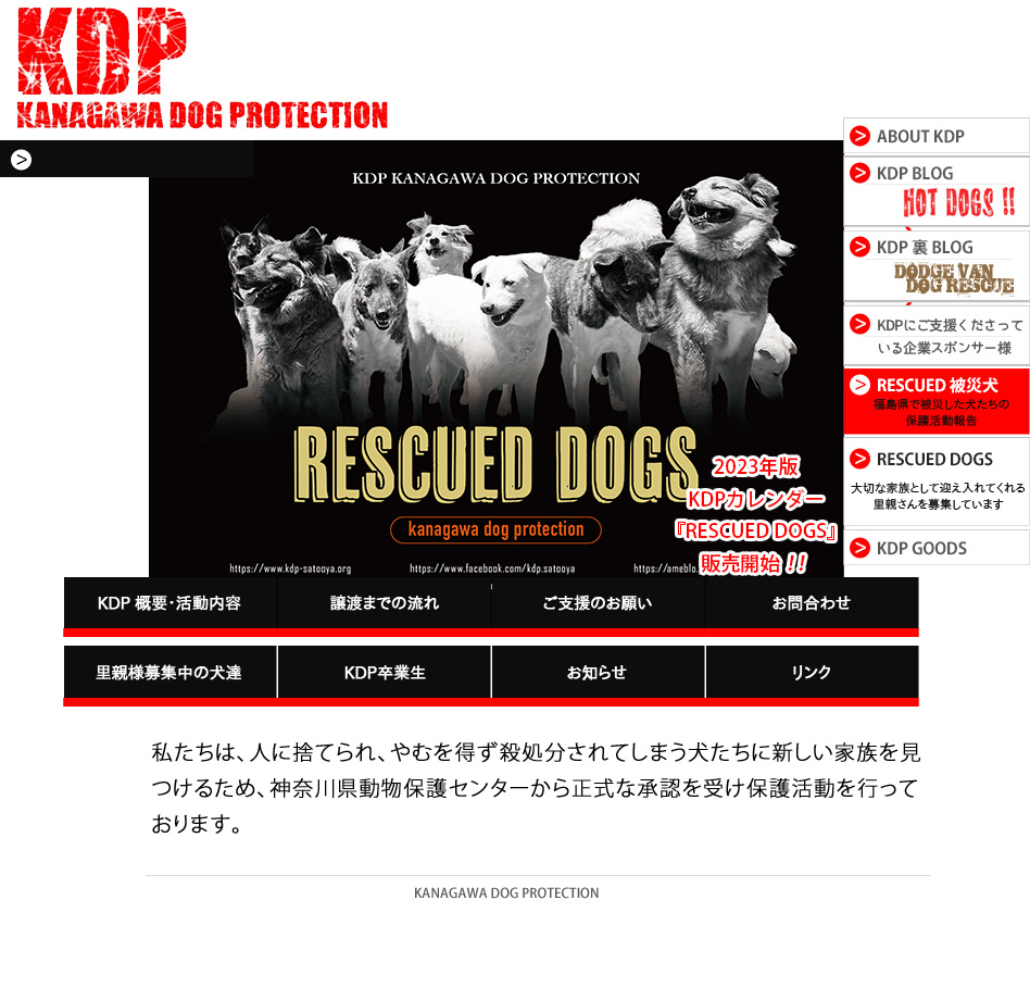 KDP - 神奈川ドッグプロテクションは、人に捨てられ、やむを得ず殺処分されてしまう犬たちに新しい家族を見つけるため、神奈川県動物保護センターから正式な承認を受け保護活動を行っております。